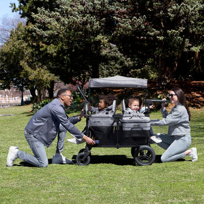 Premium 4-wheel stroller with adjustable push/pull handle, removable canopy and flat folding function, convertible seat
